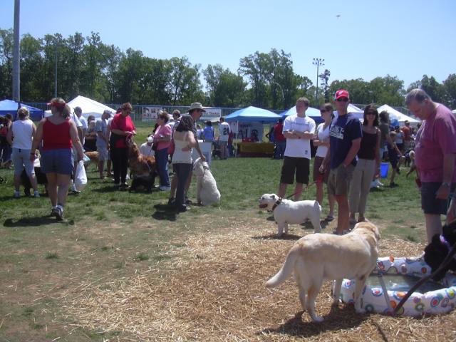 /images/events/1/BARK IN THE PARK 2007 009.jpg